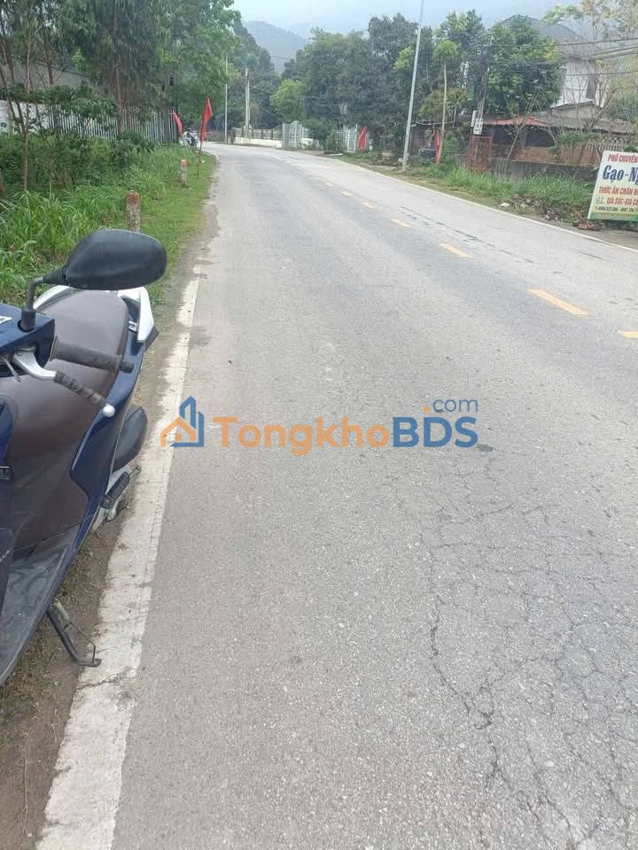 Đất Vĩnh Phúc 200m² Full Thổ Cư Mặt Tiền 8m - Kinh Doanh Sầm Uất