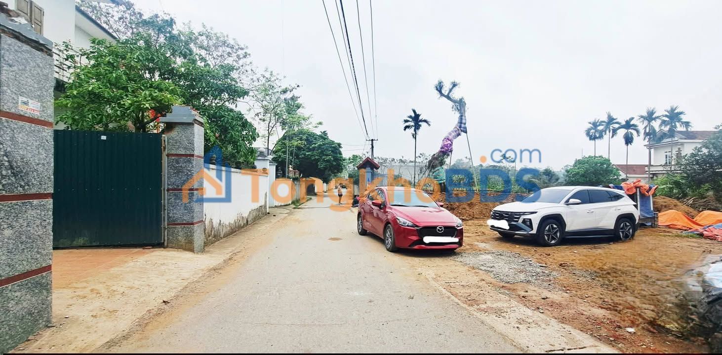 Đất Sông Lô Vĩnh Phúc 110m² - Kinh Doanh Tốt, Giá Hồi Vốn