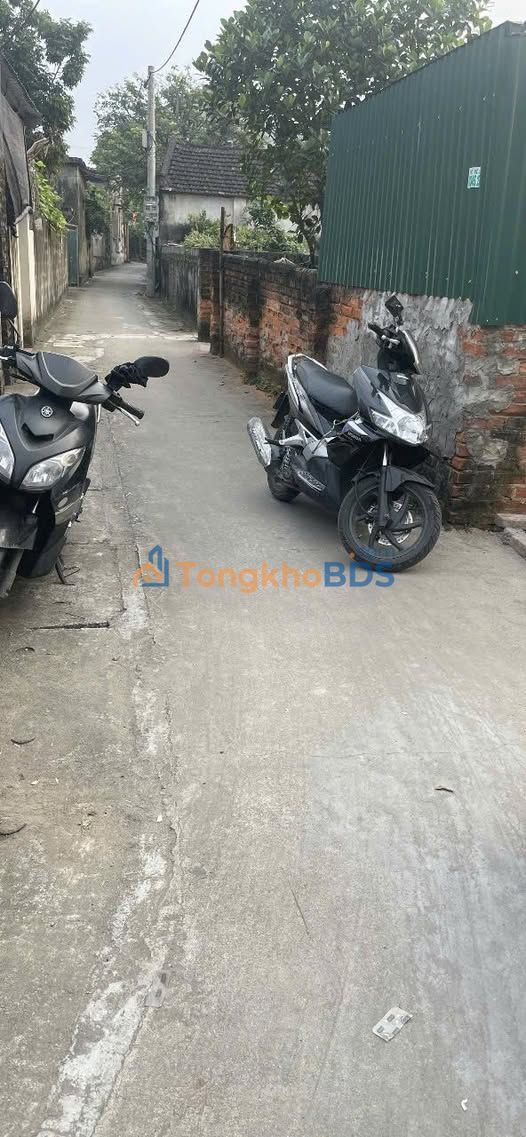 Bán đất 50m² Long Biên - Sổ hồng vuông đẹp, đường thông