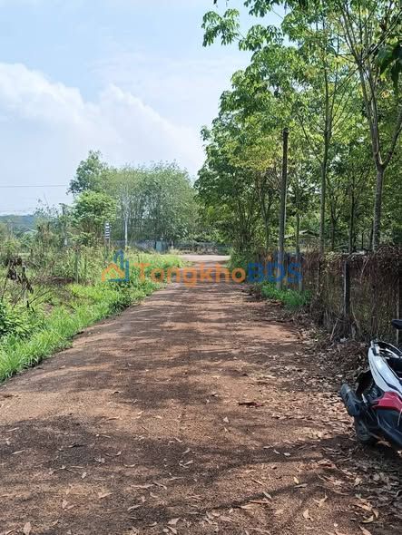 Nhà 600m² Vĩnh Hòa, Thuận An - Giá 800 Triệu, Tặng Nội Thất Xinh