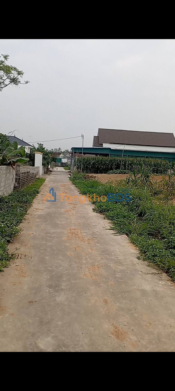 Đất Nền Quỳnh Châu 320m² - Hướng Đông - Giá Chỉ Từ 100 Triệu