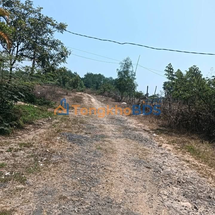 Đất Vàng Phường Ngô Mây, Kon Tum – 564m² – Sẵn Sàng Xây Dựng