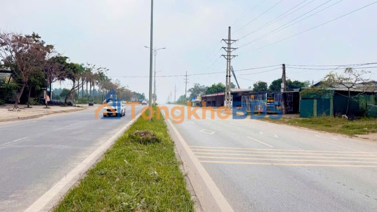 Đất Vàng Mặt Tiền Đường 36, Vĩnh Phúc - Đối Diện KCN Tam Dương 2