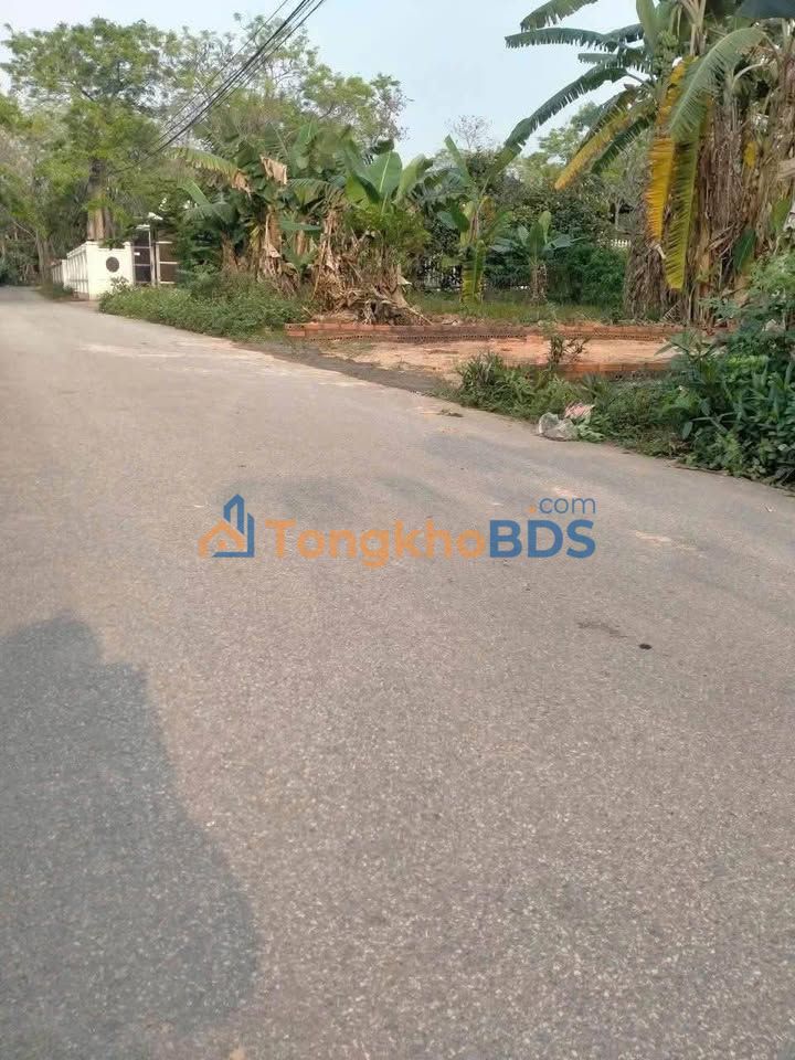 Đất Vĩnh Phúc 102m² Thổ Cư - Giá 6xx Triệu, Đường Nhựa Ô Tô