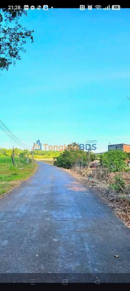 Đất Lộc Hưng, Thuận An: 230m² Mặt Tiền Đường Nhựa, Giá 160 Triệu - Kinh Doanh Đắc Lợi