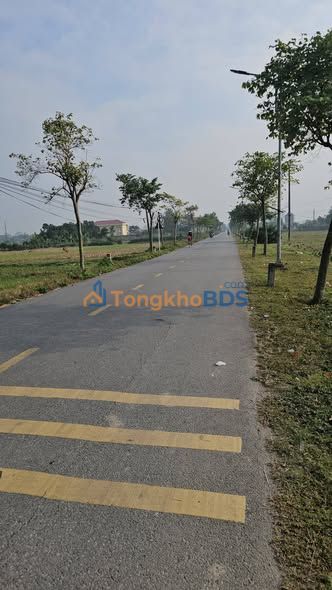 Đất Mặt Đường Vũ Bản - Bình Lục, Hà Nam 132.7m² - Giá Tốt Đầu Tư