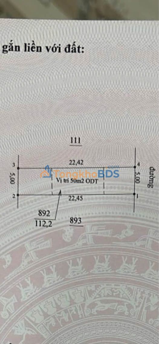 Bán đất 1100m² hướng Đông - Ấp Suối Cam, Đồng Xoài, Bình Phước - 520 triệu