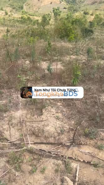 Bán Đất Vườn 20.000m² Xã Văn Lem, Đắk Tô - Sẵn Sàng Đầu Tư