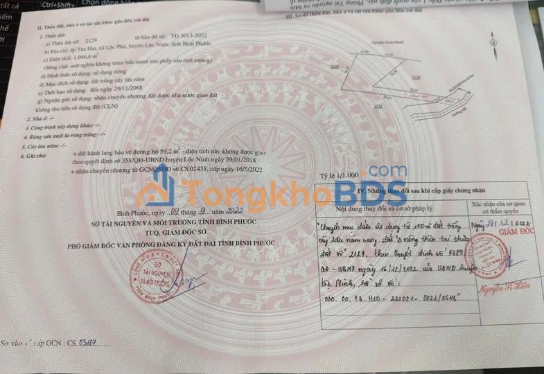 Đất Nền Đồng Xoài 1000m² Sổ Riêng - Giá 3 Tỷ Đầu Tư Sinh Lời