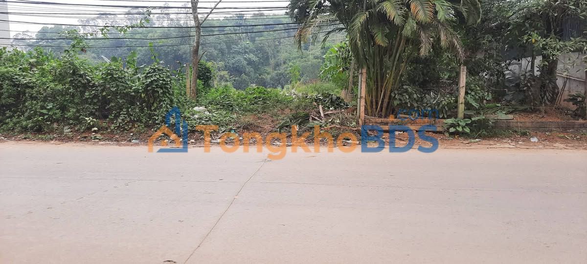 Bán đất Phù Ninh 175m² - Sổ đỏ thổ cư, gần chợ Trạm Thản