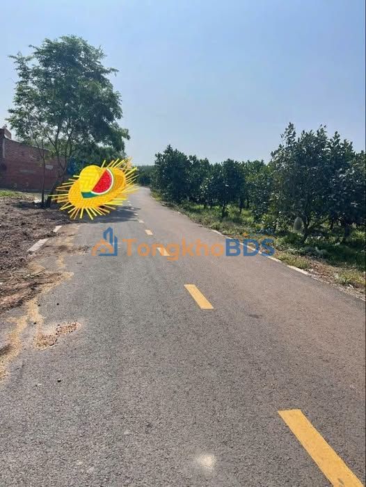 Đất nền Nhựa Phước Thành Phước Hải 2.300m² 4.5 tỷ - Thổ cư 100%