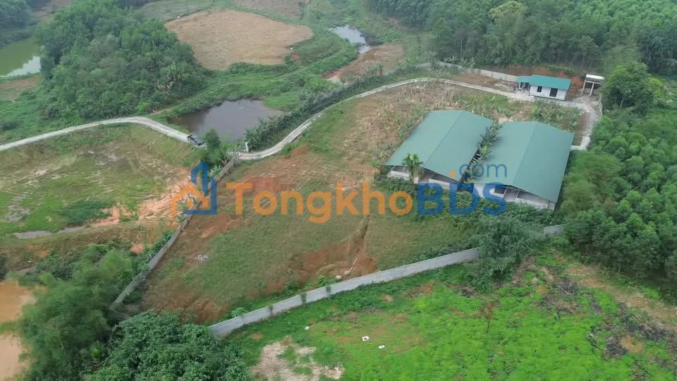 7000m² Đất Trang Trại 2 Chuồng Trại, Yên Lập, Phú Thọ - Sẵn Khai Thác