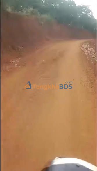 Đất Vườn 7ha Sổ Hồng Chính Chủ - Đường Ô Tô Tận Nơi Tại Bù Đăng, Bình Phước