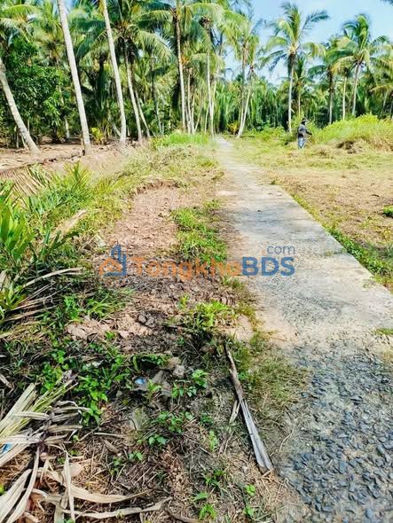 Bán Gấp Đất Nền 261m² Đồng Khởi, Trà Vinh - Sổ Hồng, Giá 300 Triệu