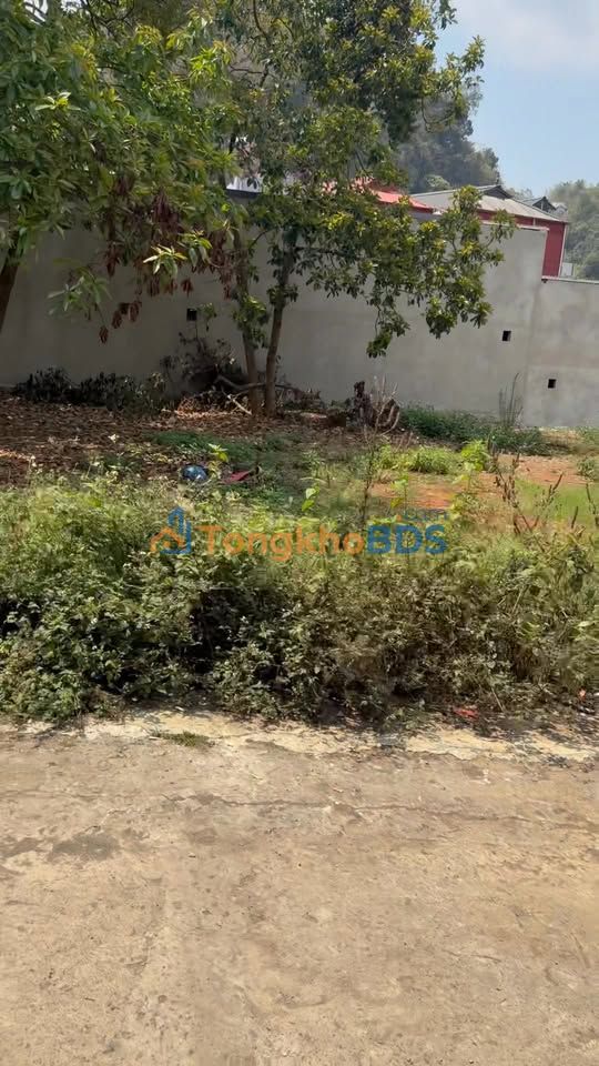 Đất Trung Tâm Mộc Châu 270m² Sổ Đỏ Thổ Cư 100% - Giá Hời