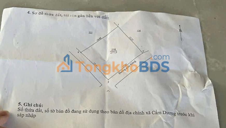 Đất nền Cẩm Xuyên 277m² full thổ cư - Chia 2 lô, 2 mặt tiền, giá đầu tư