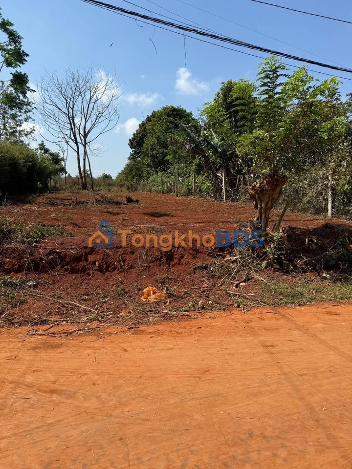 Đất nền Buôn Đôn, Đăk Lăk: 400m² góc 2 mặt tiền - Giá 1.55 tỷ