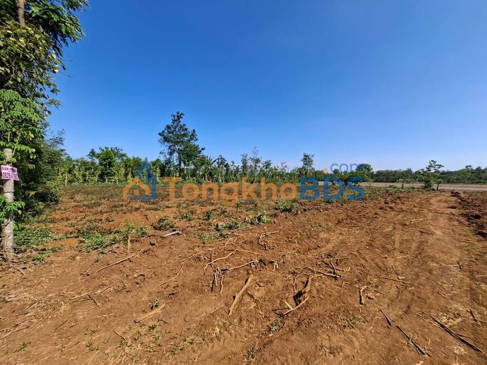 Đất rẫy Ea Tiêu Cư Kuin 3000m² 2.2 tỷ - Sổ đỏ chính chủ