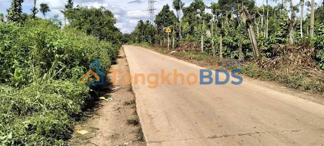 Đất Nền Trục Chính KCN Cà Phê 510m² - Tặng 4 Phòng Trọ Dòng Tiền Ổn Định