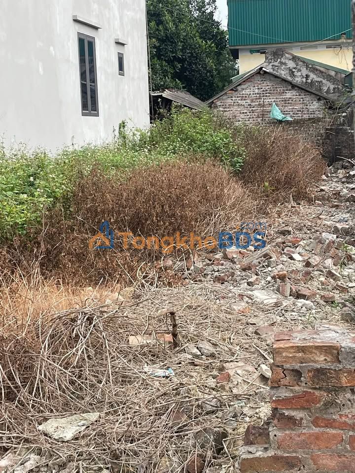 Đất nền Đường 390 Hải Dương 100m² - Đường to ô tô