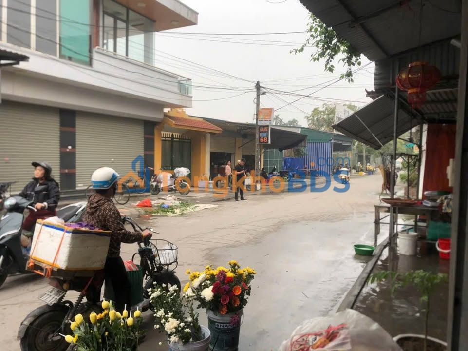 Mặt Tiền Chợ Gia Lộc - Hải Dương 66m²: Kinh Doanh Sầm Uất, Tặng Nhà Cấp 4