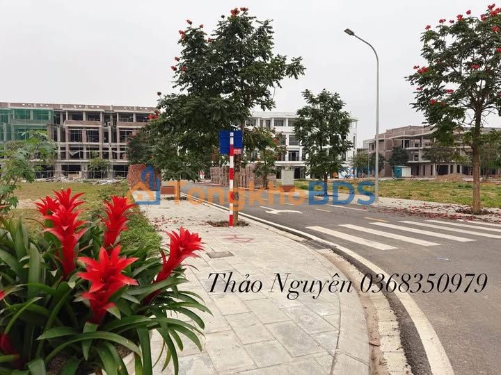 Bán Gấp Nhà Phố KĐT Nam Việt, Việt Trì - 90m², 4 Tầng, Kinh Doanh Đỉnh