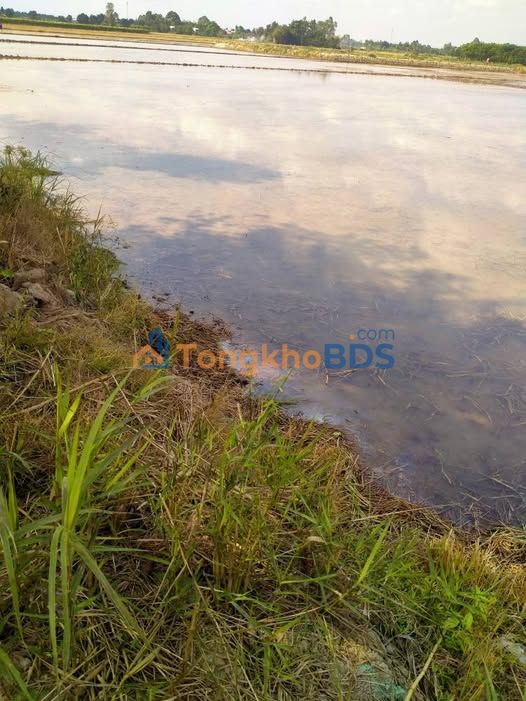 Bán đất Hòa Thành 2500m² - Mặt tiền 40m, đường xe bagac, gần sông