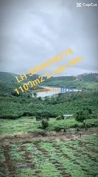 Đất nền Lộc Đức Bảo Lâm 1100m² 690 triệu - Hạ tầng hoàn thiện