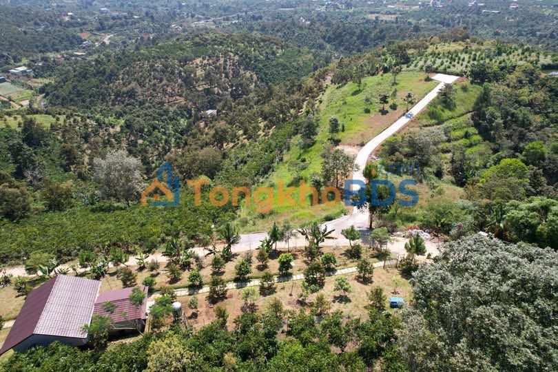 Đất Farmstay 7000m² Tân Lạc, Lâm Đồng - View Săn Mây Đẹp, Giá Đầu Tư