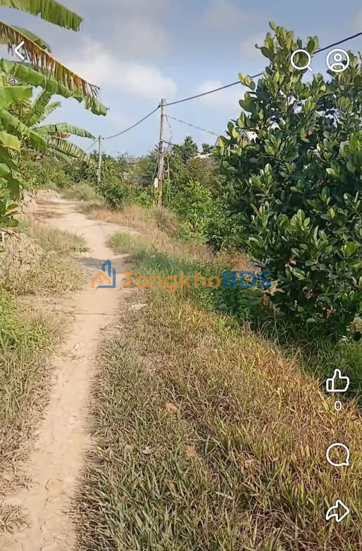 Đất vườn Mỹ Tân Cái Bè 12.000m² 6.72 tỷ - Đầu tư dài hạn