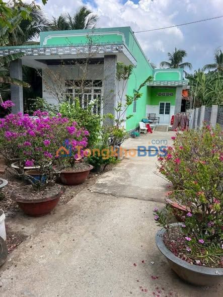 Bán Đất Vĩnh Long 517m² Mặt Tiền Lộ Đan 4m - Giá 900 Triệu Chính Chủ