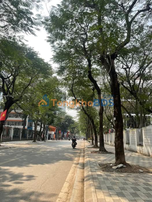 Đất Vàng Phú Thượng 50m² - Sổ Đỏ Chính Chủ, Giá Đầu Tư 8.6 Tỷ