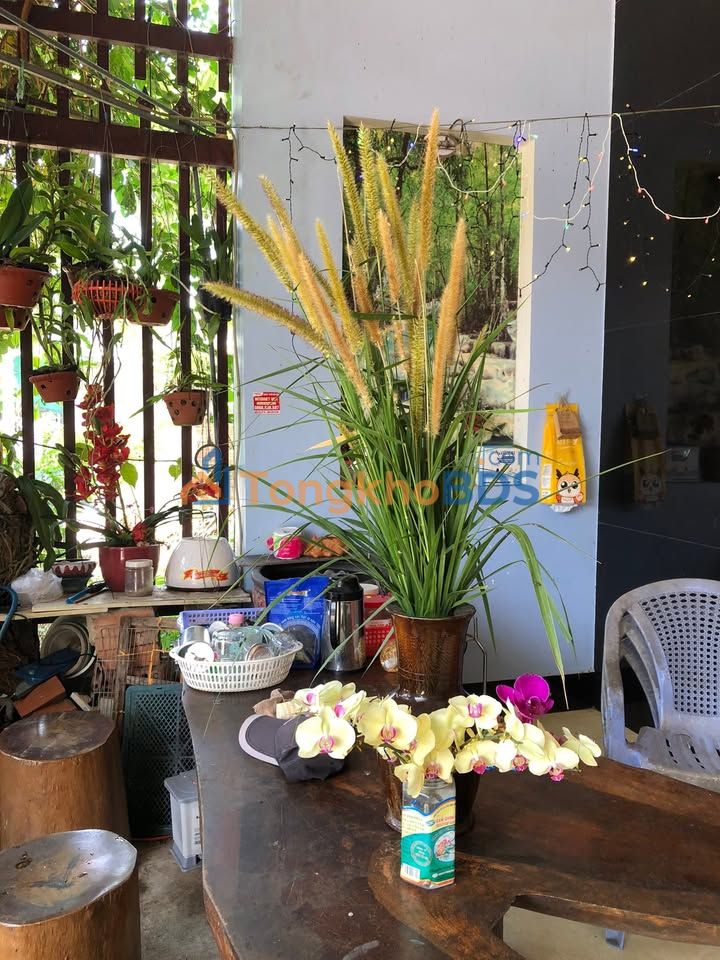 Đất nền Nghĩa Thương Tư Nghĩa 198m² 700 triệu Sổ đỏ chính chủ