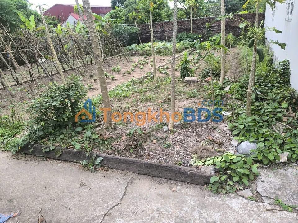 Đất nền F0 Hưng Hà, Thái Bình 56m² - Giá 1 tỷ, Sẵn Sổ Hồng