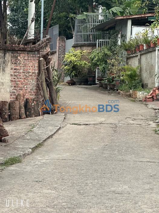 Đất Trưng Vương, Việt Trì 113m² - Sổ Đỏ Sẵn Sàng, Ô Tô Tận Nơi