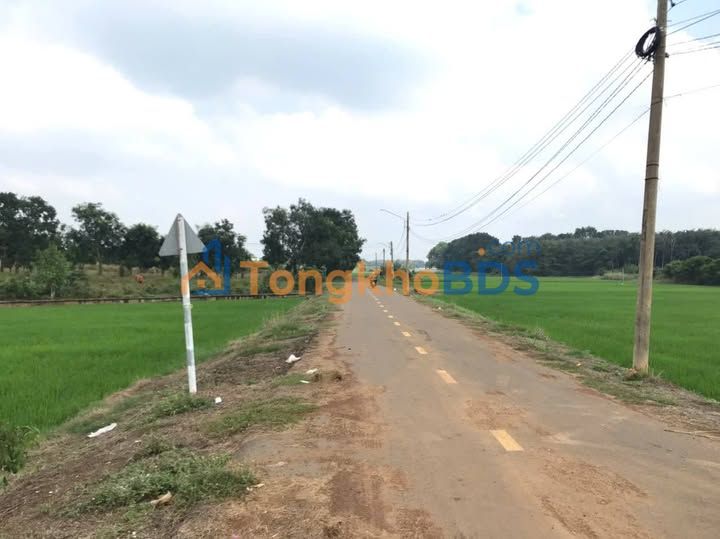 Bán Gấp Đất Vườn 3330m² Mặt Tiền Nhựa TP Thủ Đức - Giá Đầu Tư