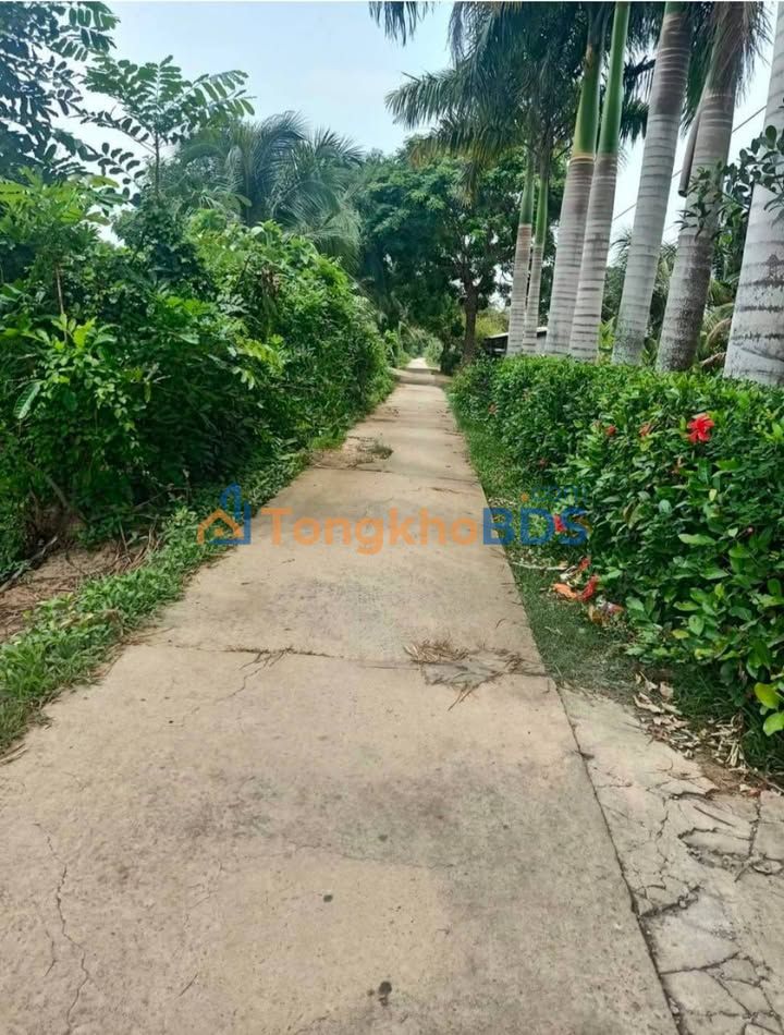 Đất nền 636m² mặt tiền dal đường Quán Cháo Dơi, Châu Thành - Giá 470 triệu