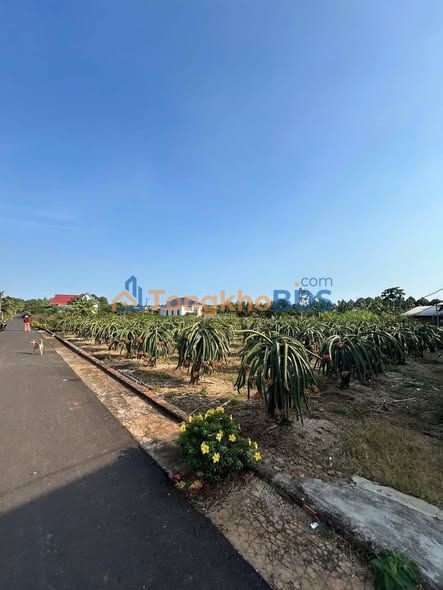 Đất Mặt Tiền Đường Nhựa Xã Bông Trang, Xuyên Mộc - 300m² Giá Tốt