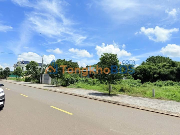 Mặt Tiền Tạ Văn Sáu Đất Đỏ 196m² - Kinh Doanh, Đầu Tư Sinh Lời