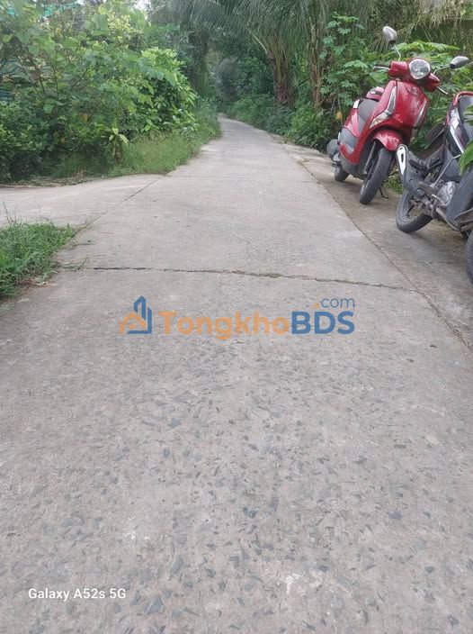 Bán Gấp 2ha Đất Vườn Dừa Tân Long Hội, Vĩnh Long - Thu Nhập Tức Thì