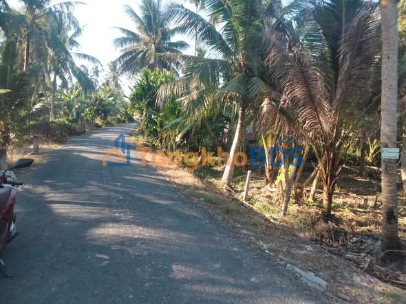 Đất nền Vĩnh Xuân Trà Ôn 2000m² giá 1,25 tỷ - Đường to ô tô