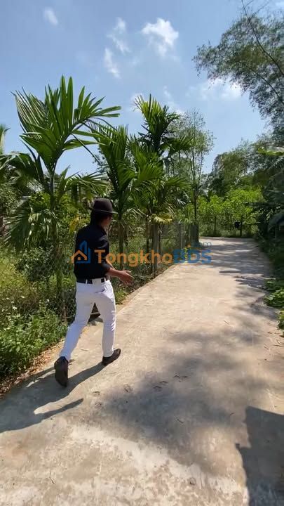 Đất Nền 1880m² Thổ Cư 200m² Tại Bình Sơn, Quảng Ngãi - Giá 2.5 Tỷ