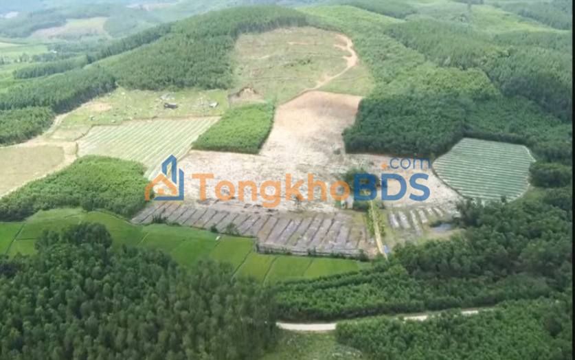 Bán Gấp 4.5ha Đất Vườn Bình Sơn, Quảng Ngãi - Sẵn Nước, Điện, Đường Ô Tô
