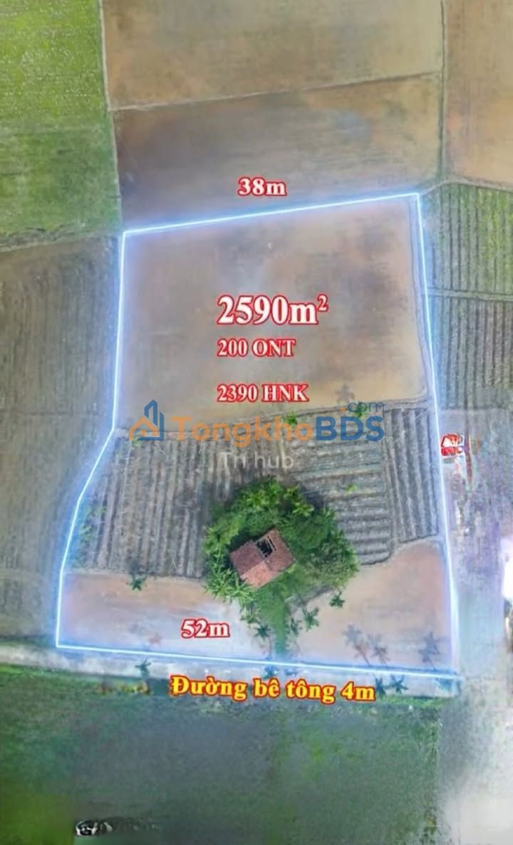 Đất Vườn Quảng Ngãi 2590m² - Sổ ONT, Đường Ô Tô - Giá 2.6 Tỷ