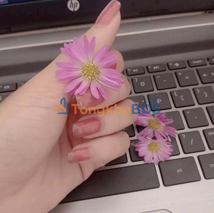 Nhà trọ 4 phòng full nội thất, Hẻm Lê Quý Đôn, TP Quảng Ngãi - Giá 1.35 tỷ