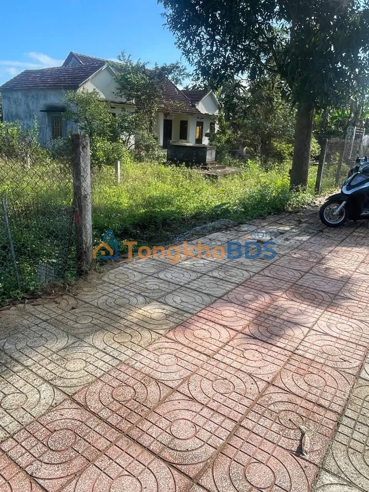 Đất Thị Trấn Mộ Đức 196m² - Giá Sốc 2.95 Tỷ, Giảm 50 Triệu