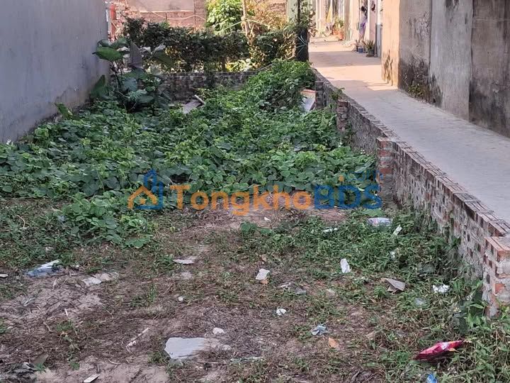 Đất nền Nam Phù Đông Mỹ 50m2 5 tỷ - Sổ đỏ chính chủ