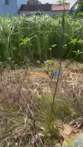 Đất Mặt Tiền ĐT 429 Hoài Đức 112.7m² - Kinh Doanh Đỉnh Cao