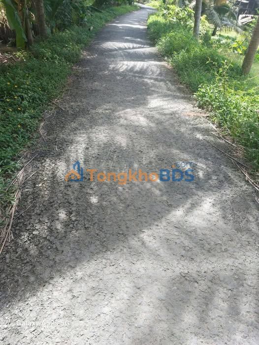 Bán Đất Thổ Cư 125m² Xã Bình Phước, Vĩnh Long - Giá 290 Triệu