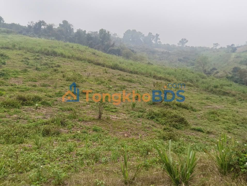 Đất Vườn Rộng 4800m² Sổ Hồng Tại Hòa Bình - Giá Thỏa Thuận